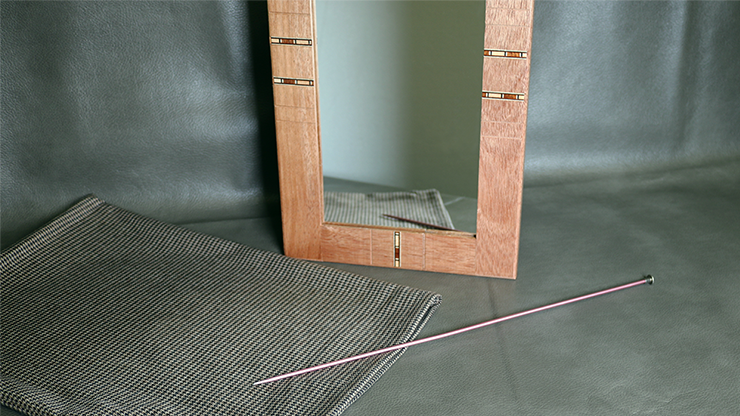 Flexible Mirror / Needle Through Mirror par Tony Karpinski