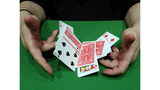 CIB: Cards In Bag par Dominique Duvivier