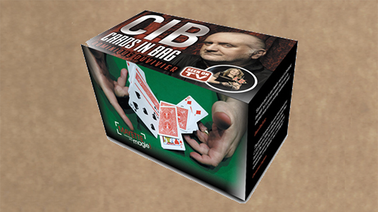 CIB: Cards In Bag par Dominique Duvivier