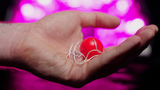 OBEDIENT BALL par Apprentice Magic