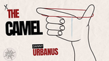 THE VAULT - The Camel par Danny Urbanus